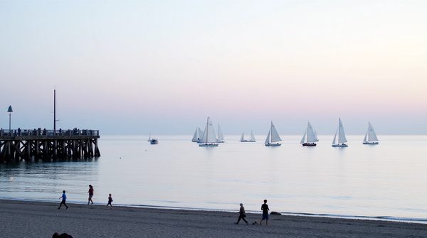 Étoile de mer : vivez des vacances inoubliables à wimereux